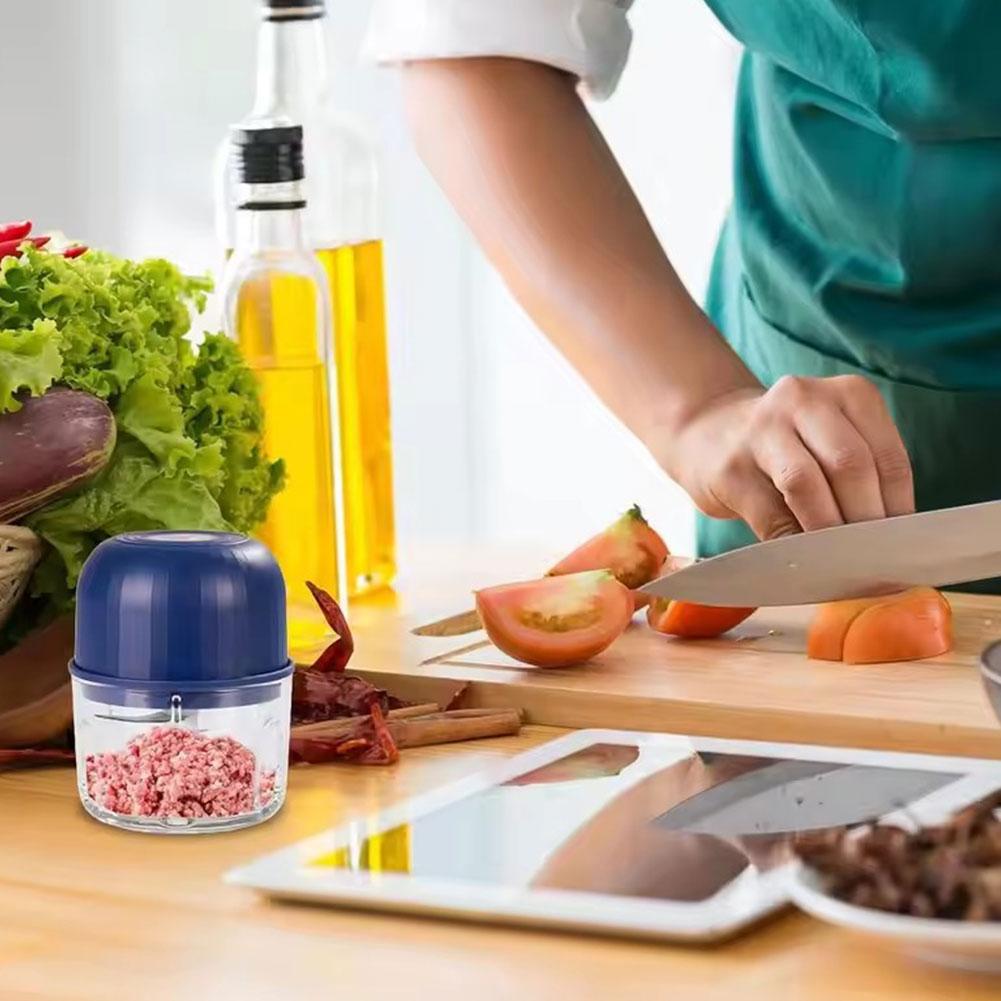 Mini Elektrischer Knoblauchzer – Kitchen Electronics Gadgets Bewertung und Preis